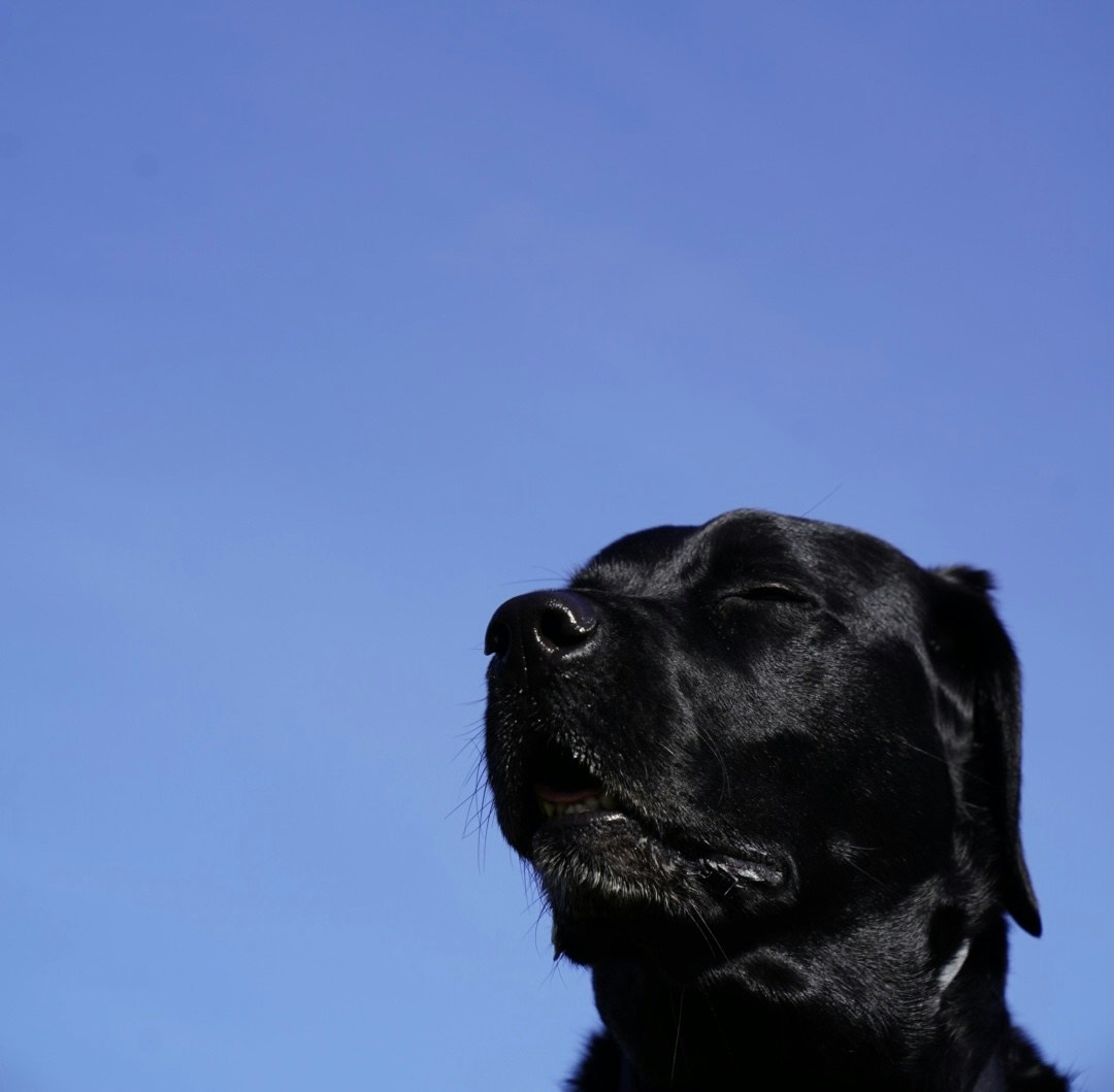 Go to Ana Cauchi's profile