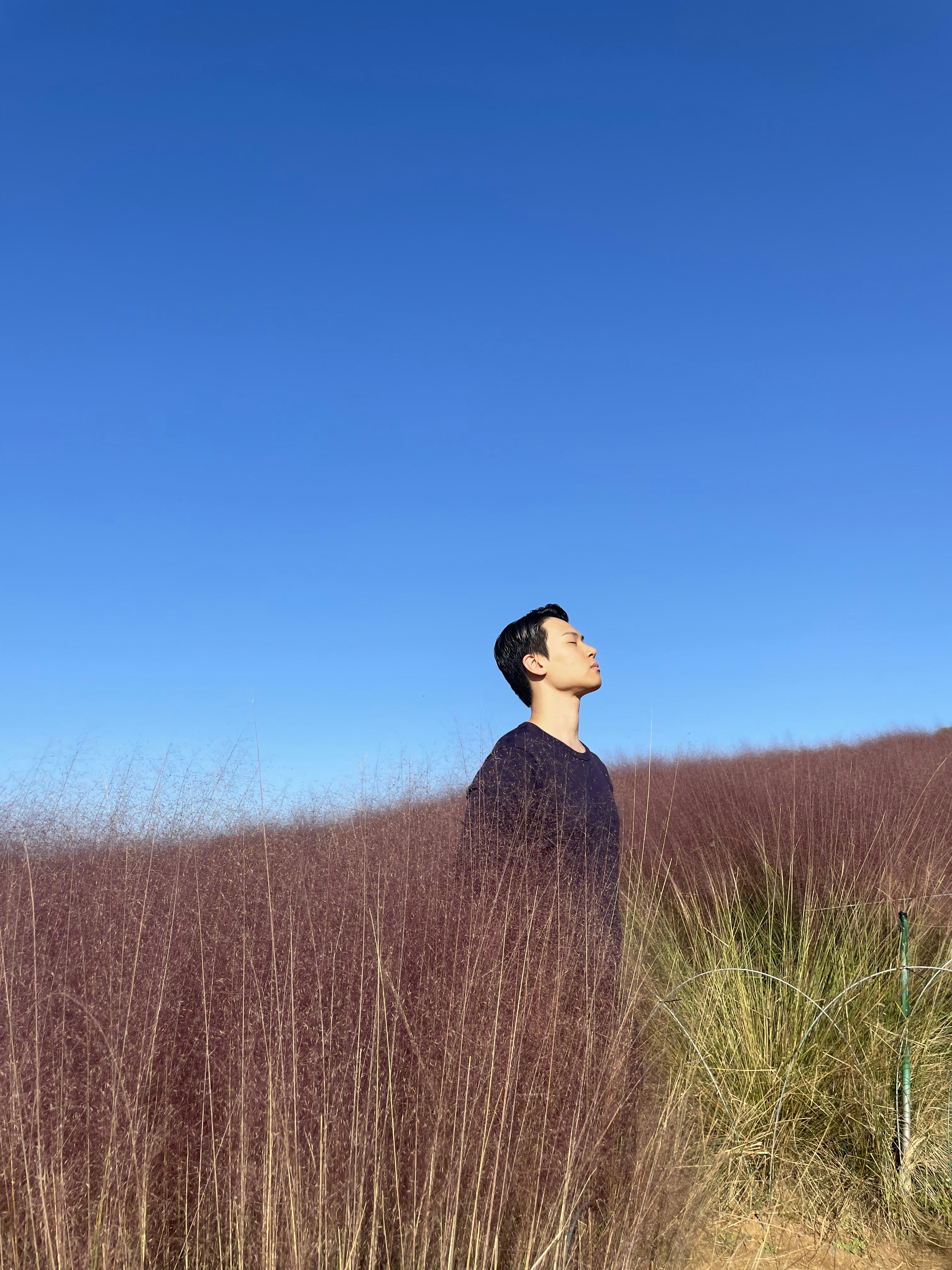 Vai al profilo di Sam Choi