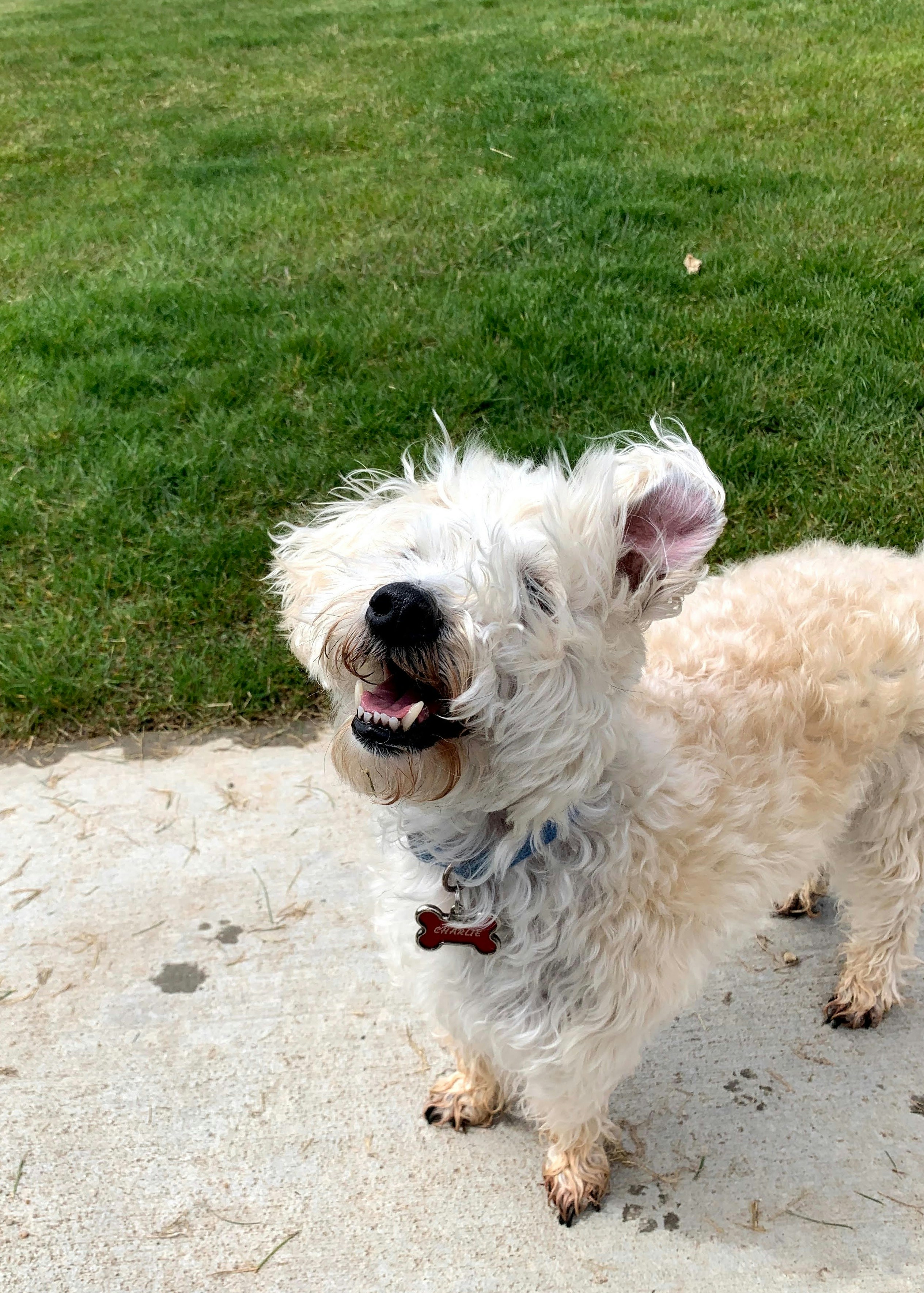 Go to Kellee Halliburton's profile