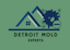 Avatar of user Mold Remediation Detroit Solutions