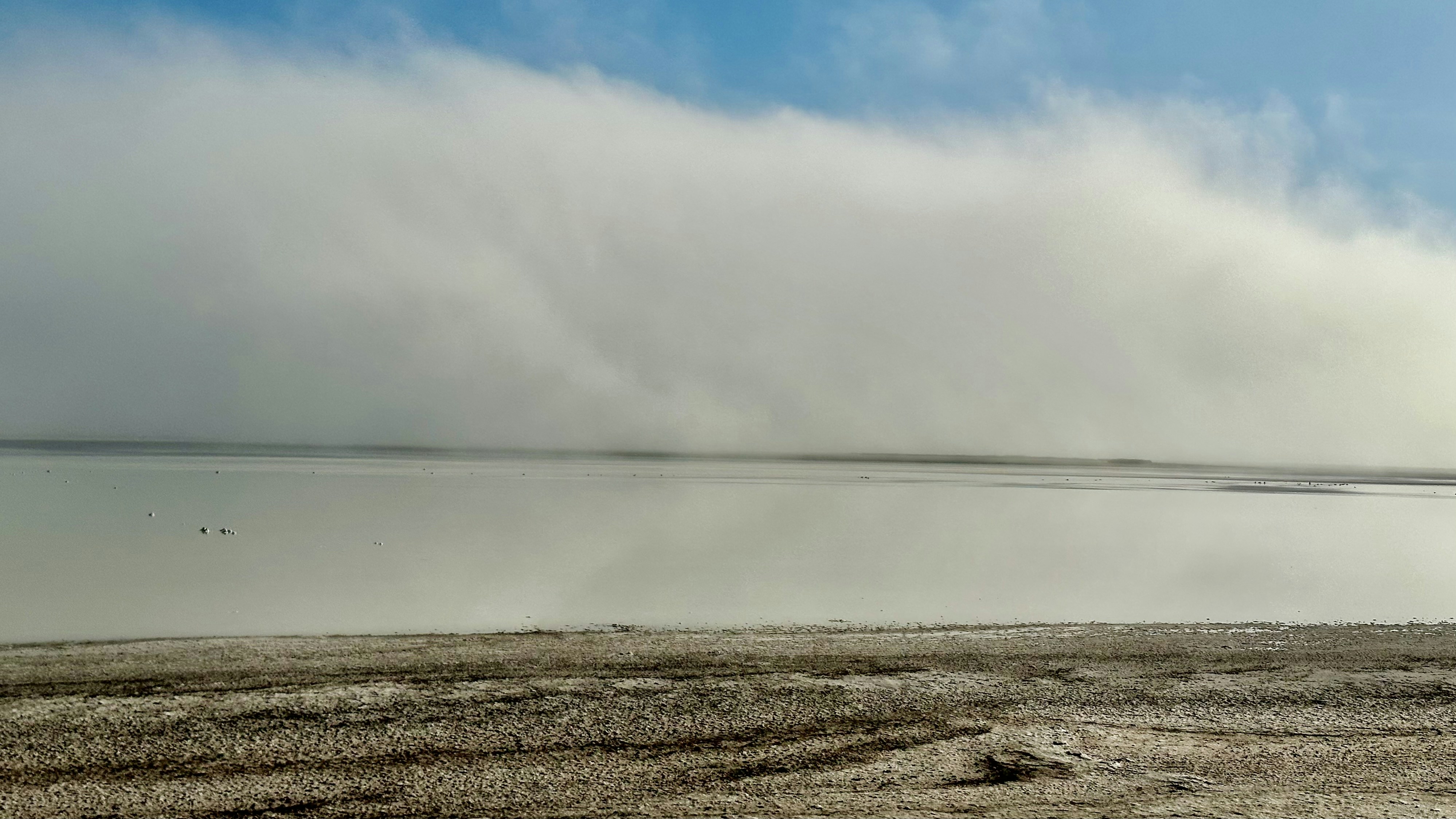 Go to Zaz Noba's profile