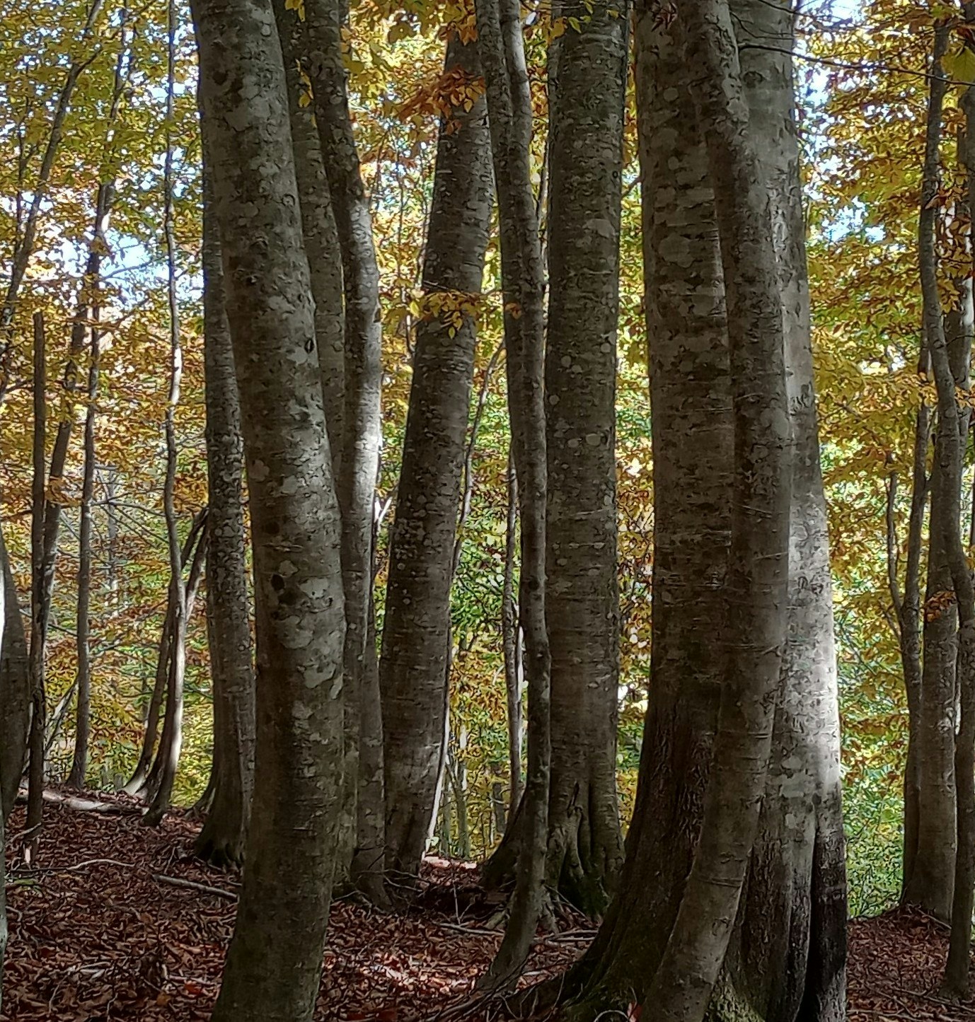 Go to t Penguin's profile