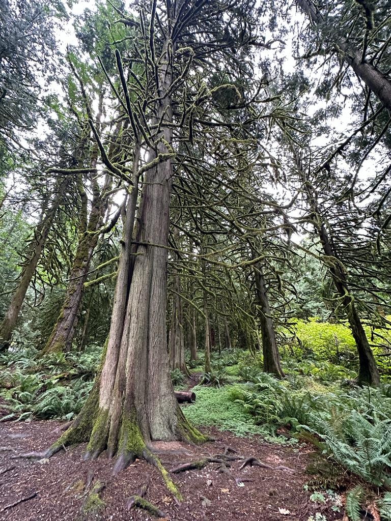 Go to Shreya Malhotra's profile