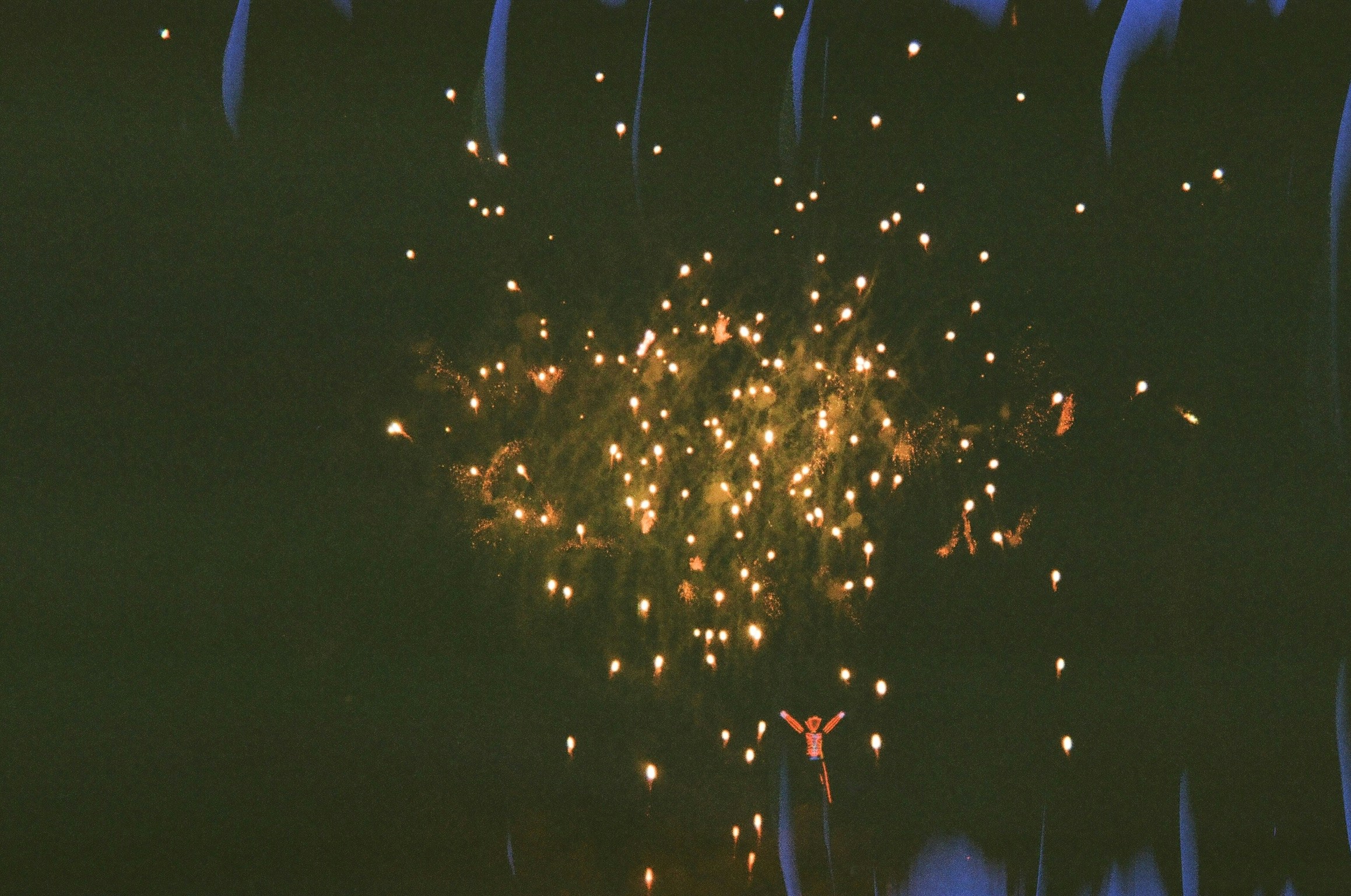 Go to Kalaman's profile