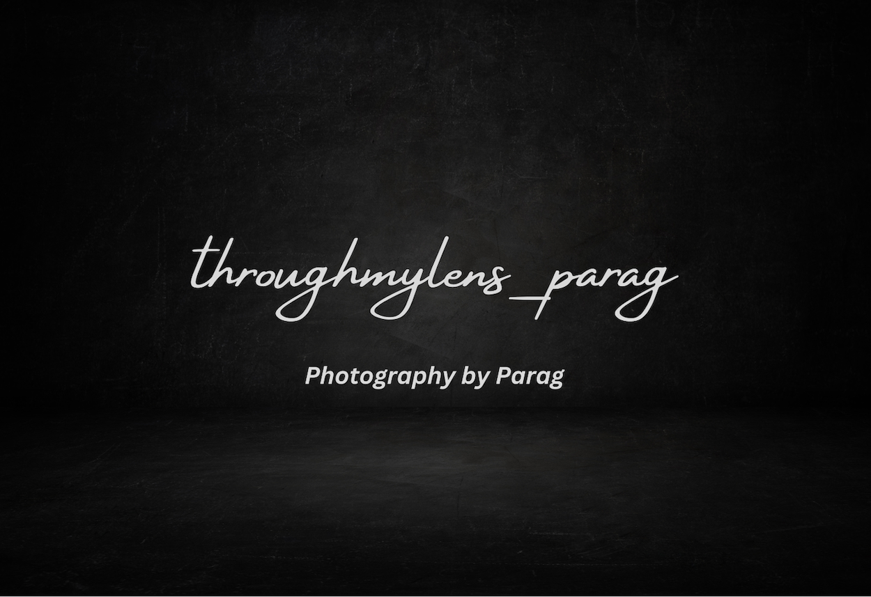 Go to Paragg Girish Gaikwad's profile