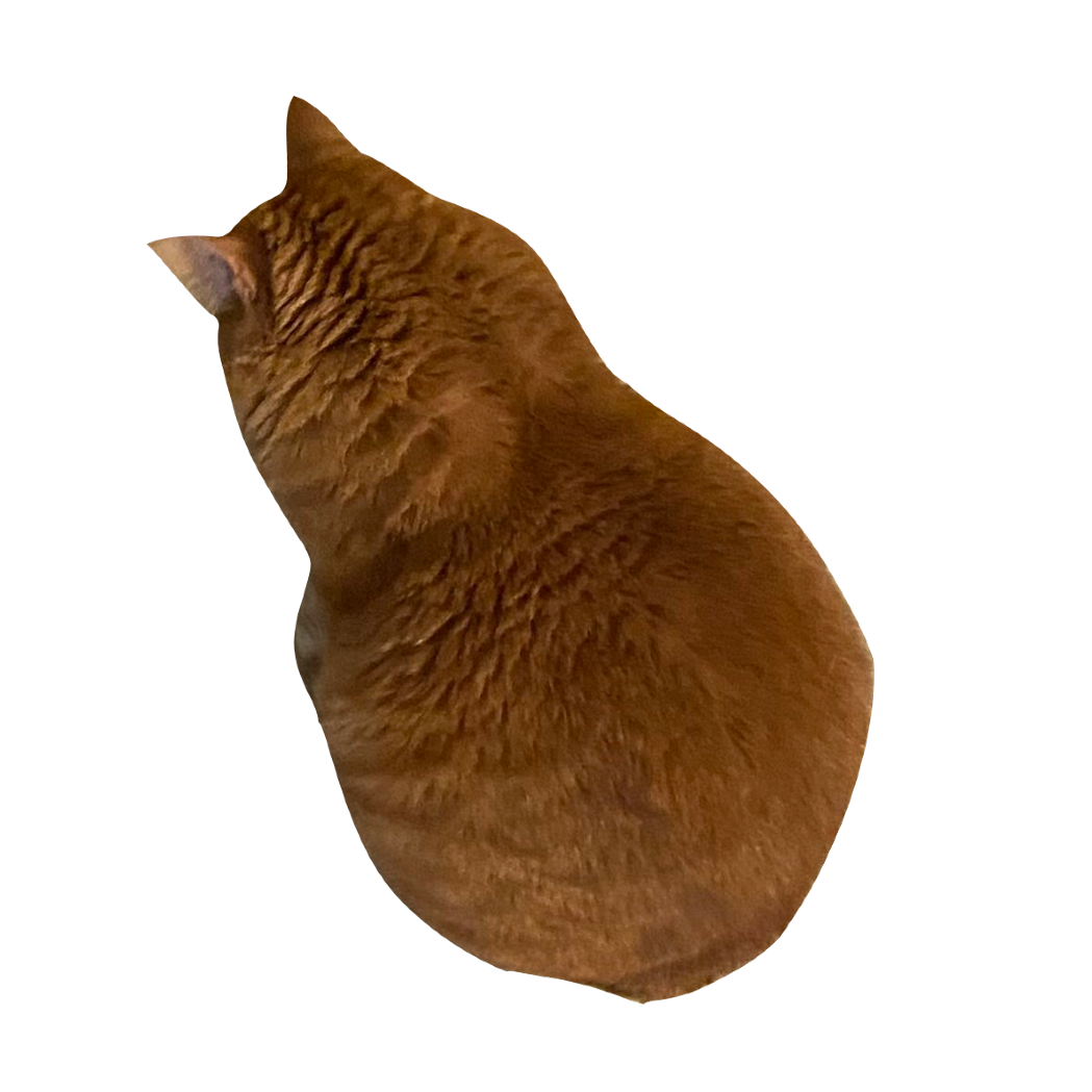 Go to VINNY SKYE's profile