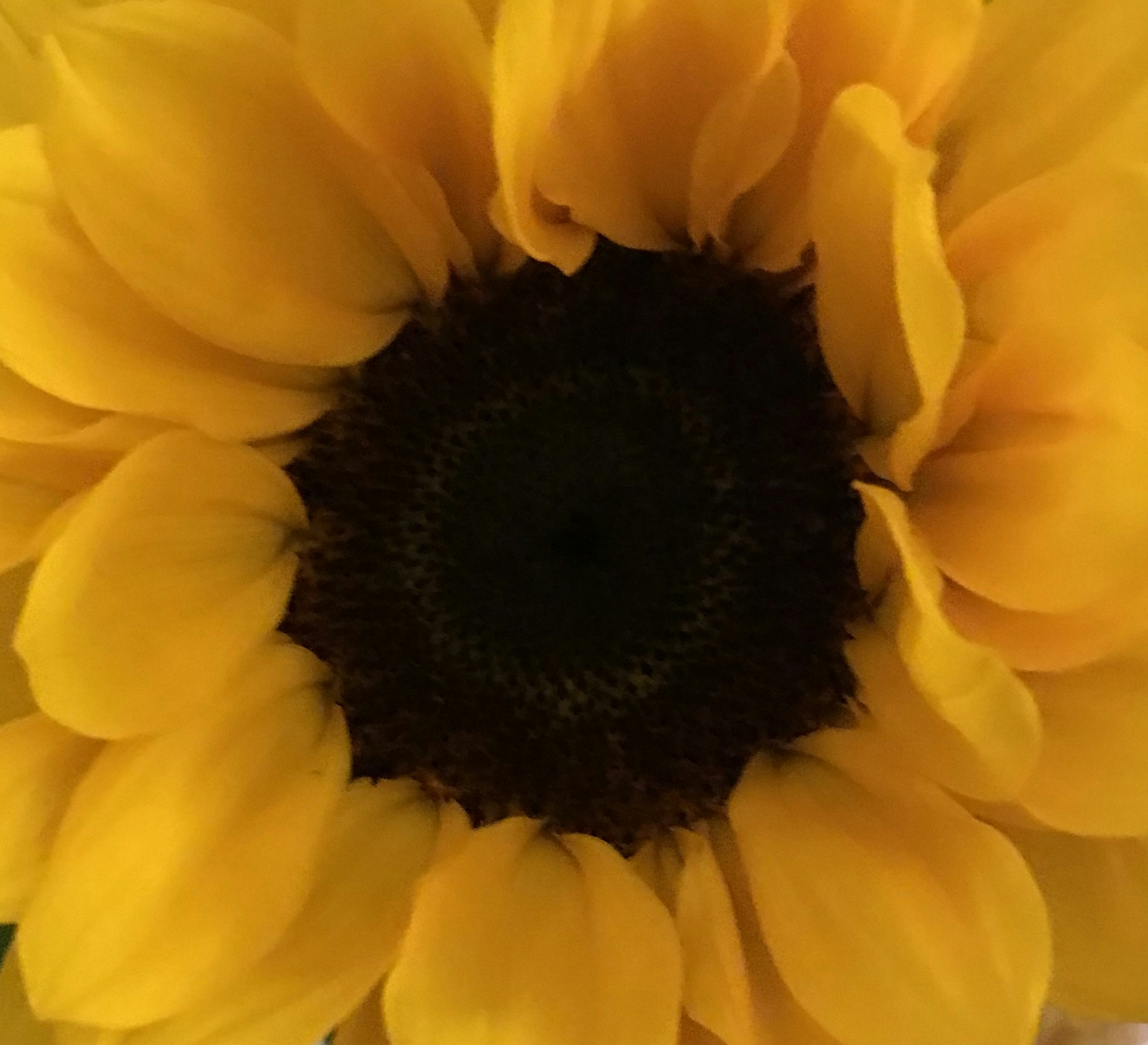 Go to K. Blaise's profile