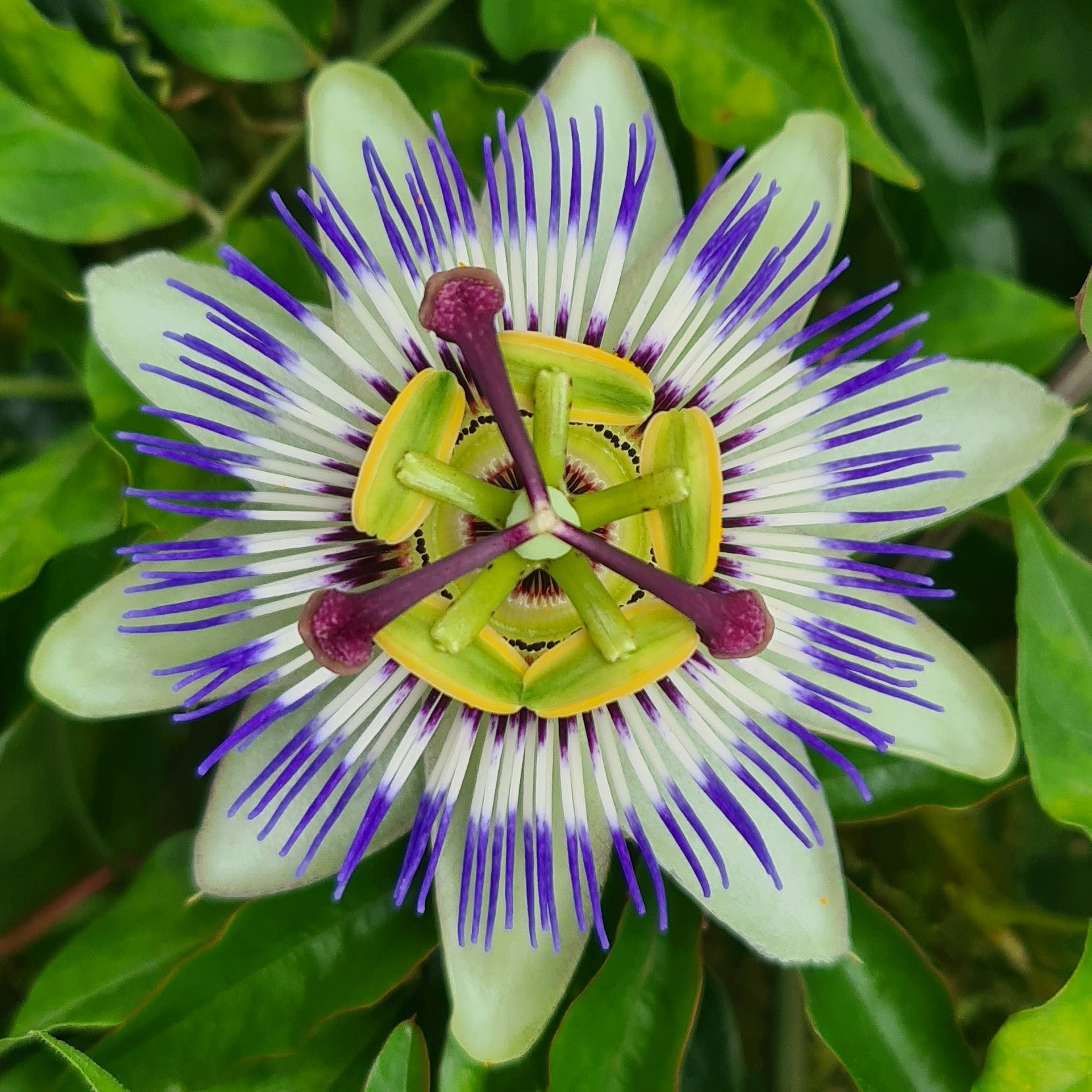 Go to Me ^_^'s profile