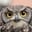 Go to Night Owl's profile