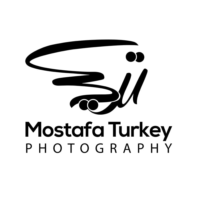 Go to Mostafa Turkey's profile