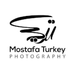 Avatar of user Mostafa Turkey