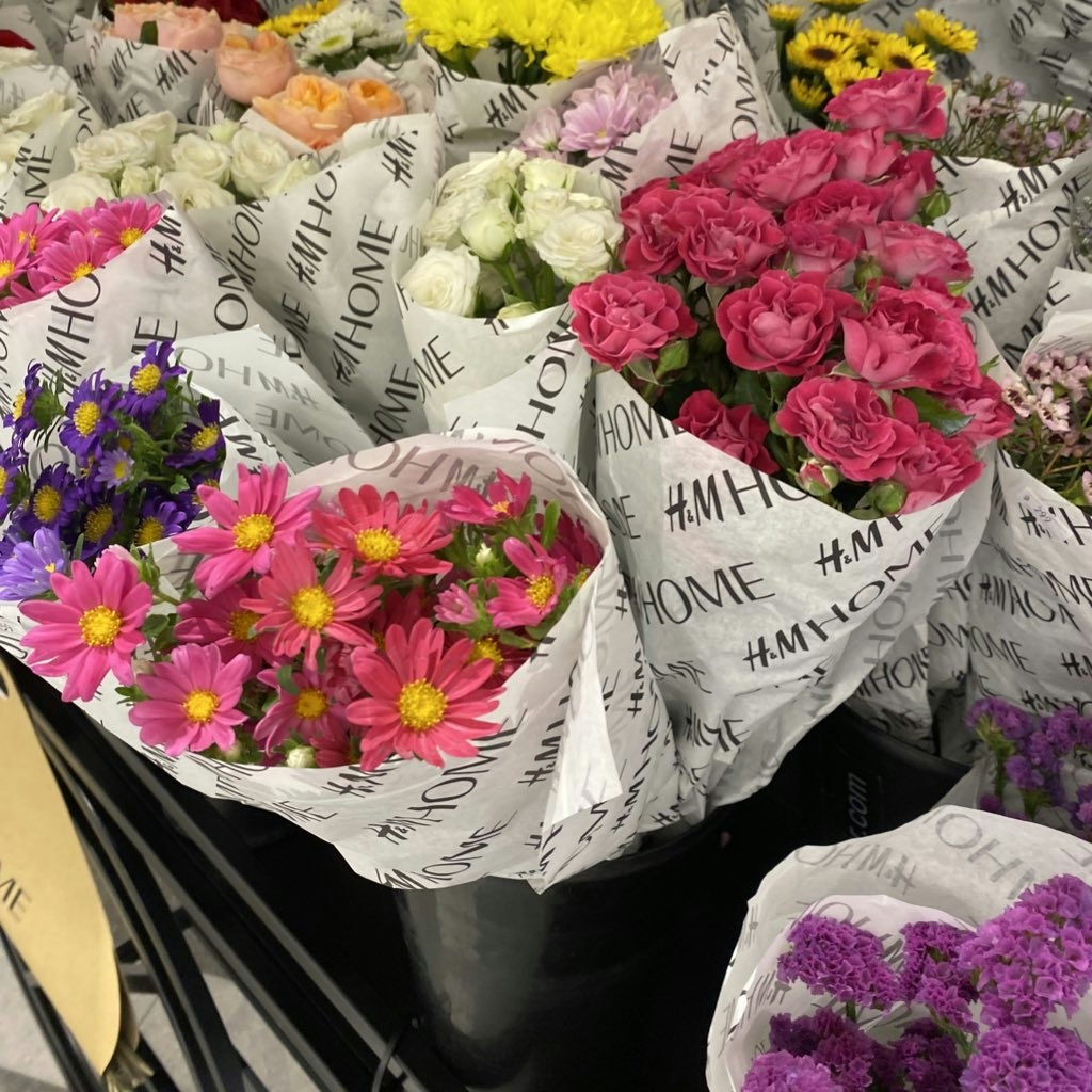 Vai al profilo di Udee Manmin