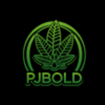 Unsplash profile picture for @pjbold