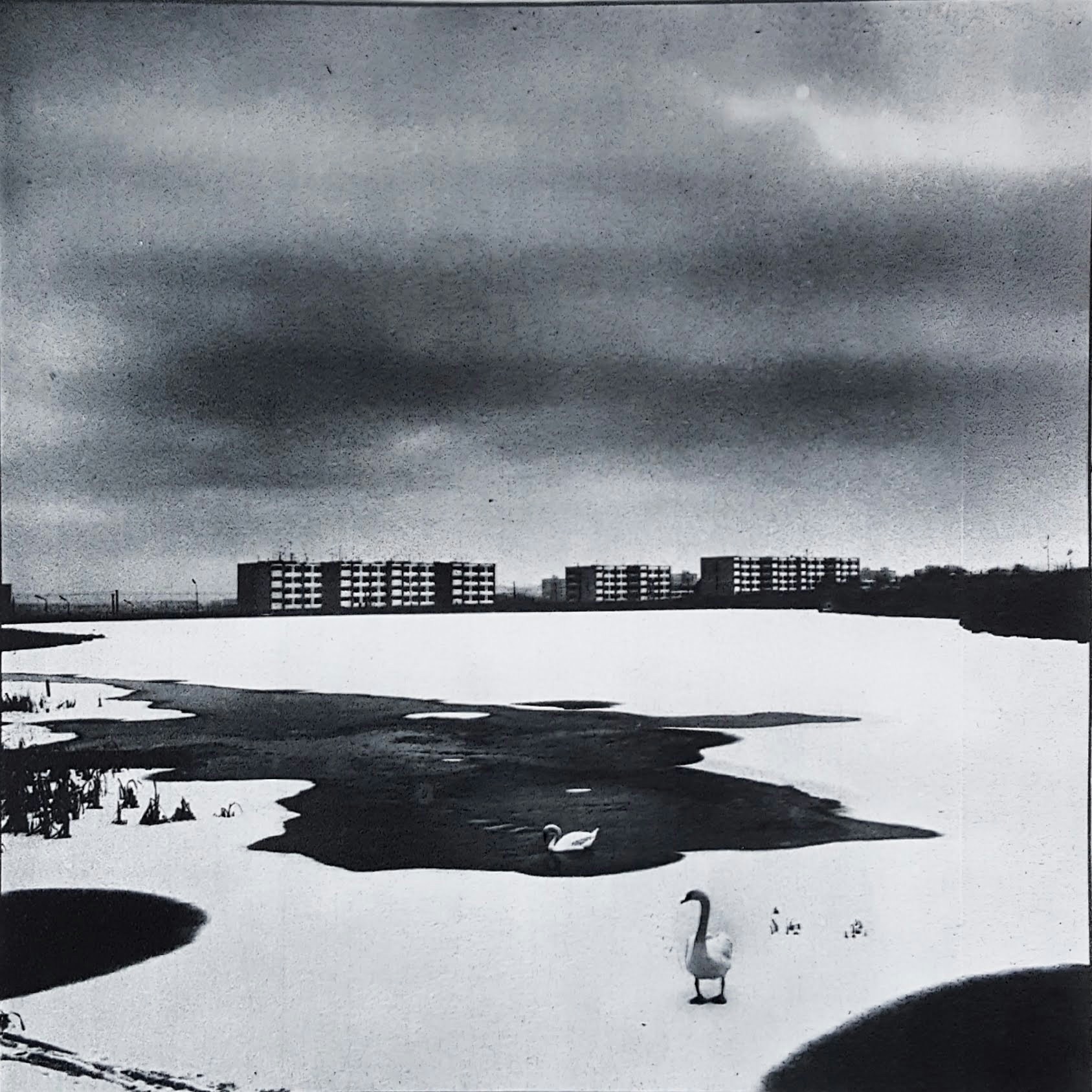 Ir para o perfil de Laurynas Me