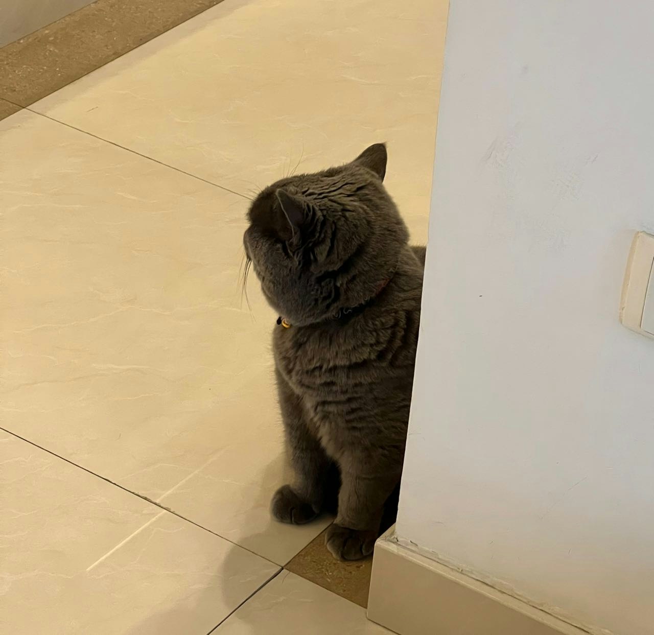 Zum Profil von Sebastian Luo