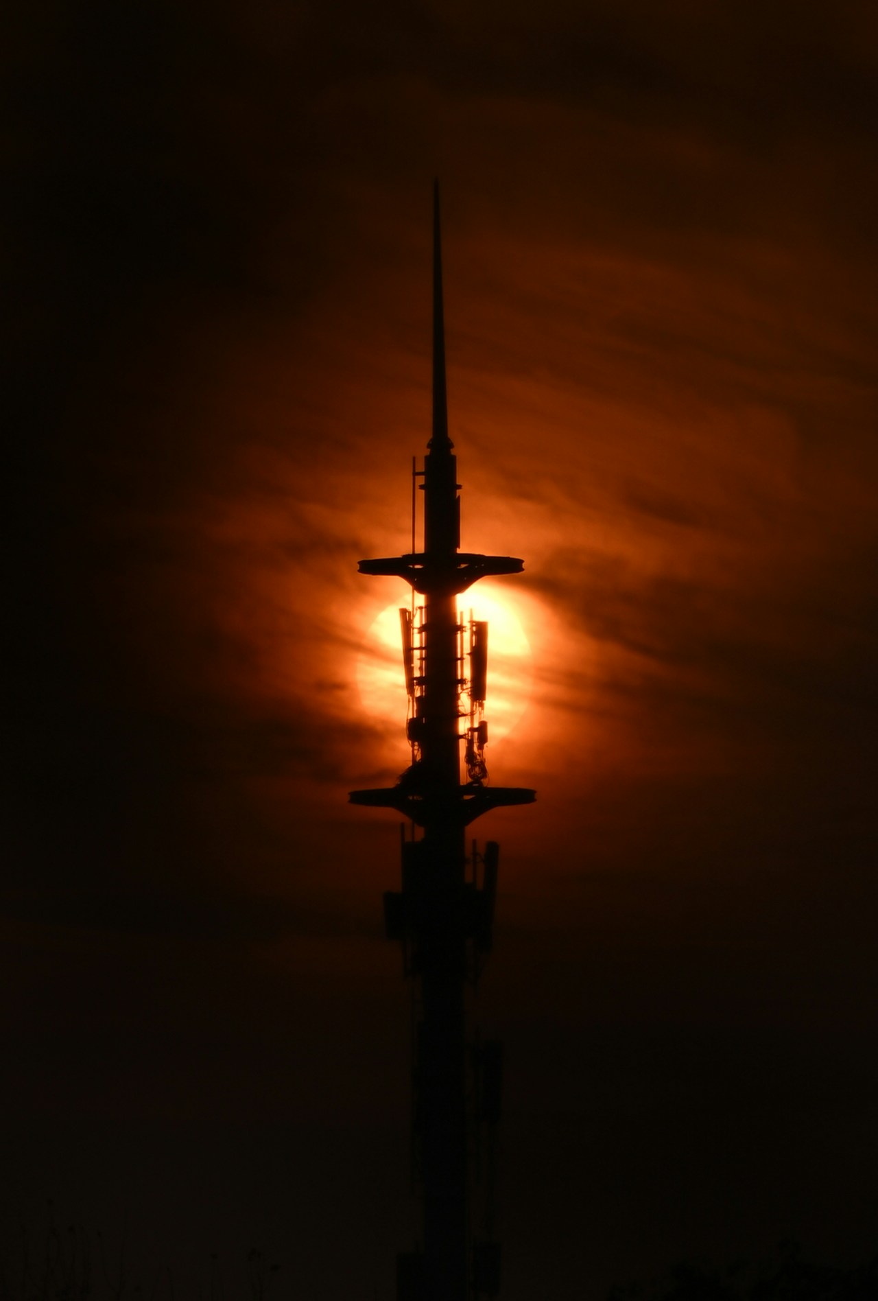 Go to Tim Ren's profile