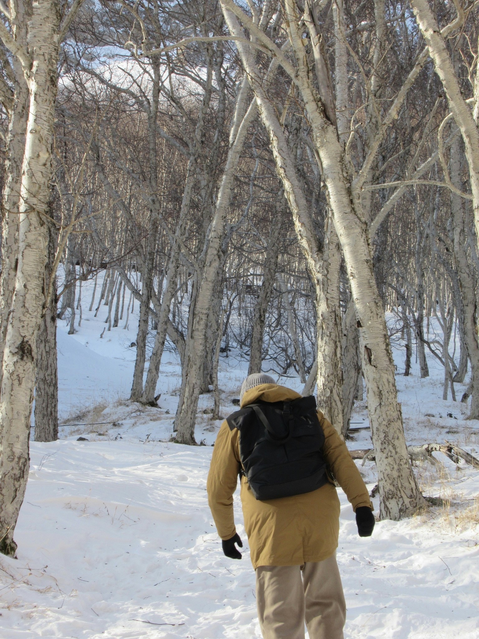 Ve al perfil de Chan