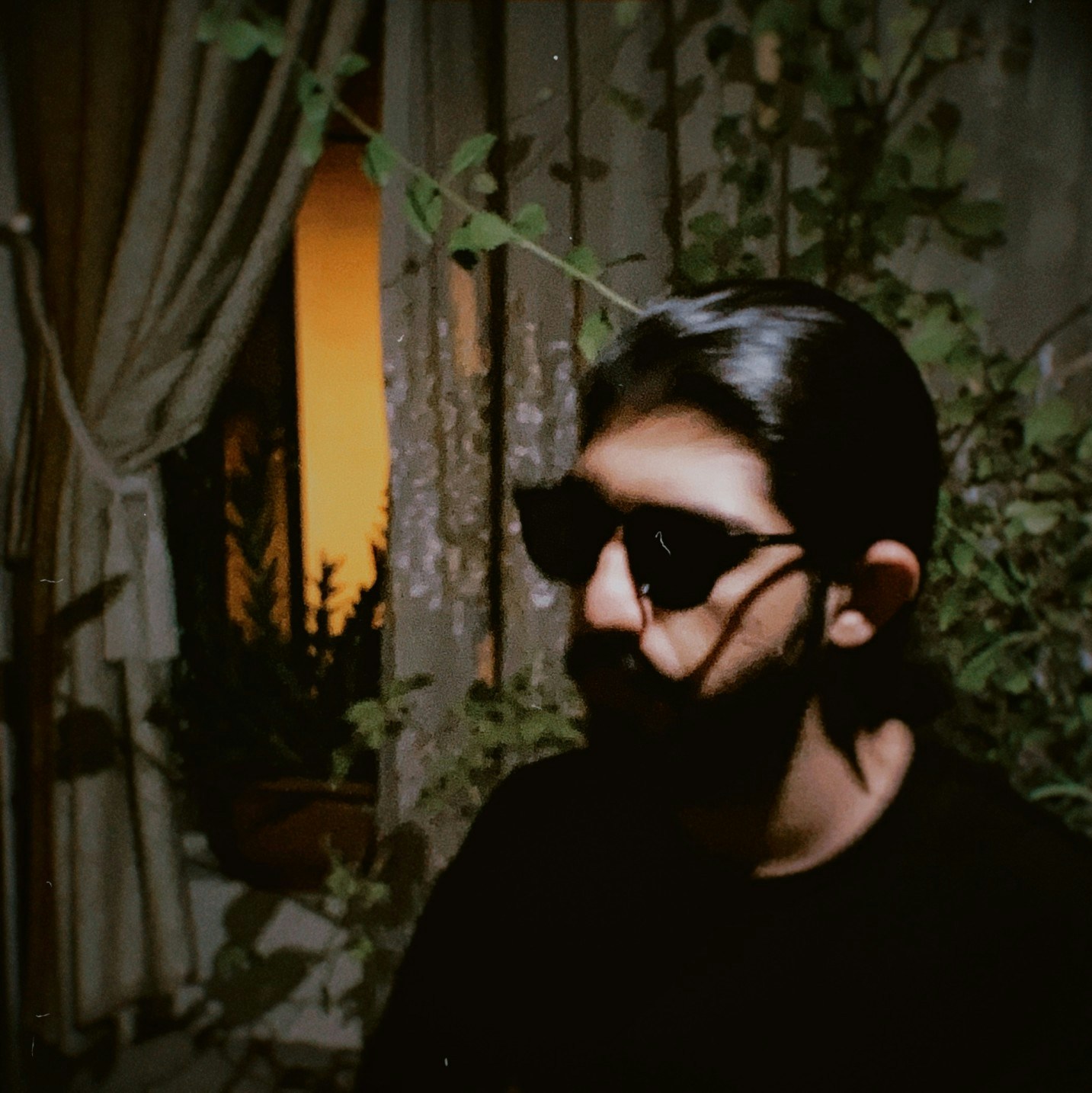 Zum Profil von Amir hossein Kohanzad