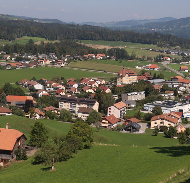 Avatar of user Olive Sun