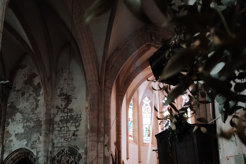 Go to Thérèse Photo's profile