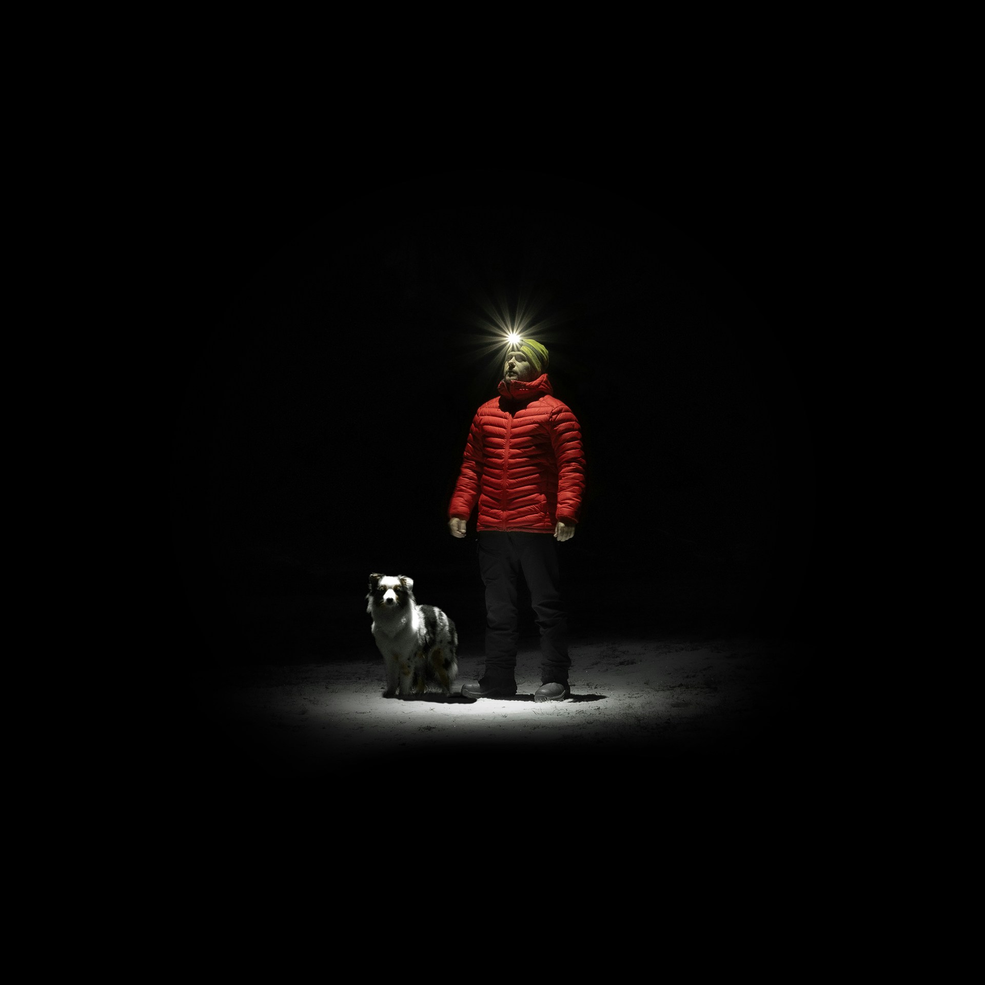 Accéder au profil de Sander Copier