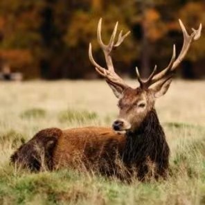 Ve al perfil de 晓 和