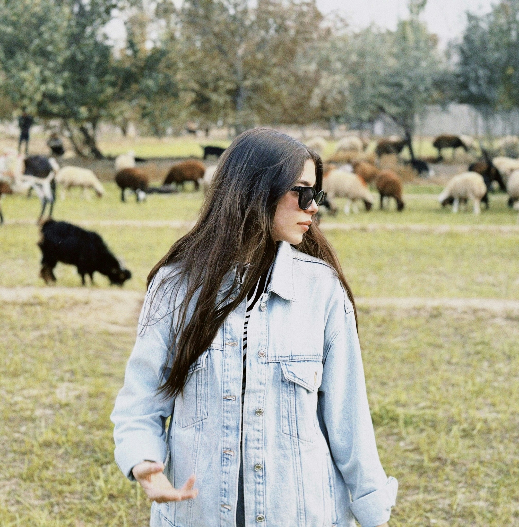 Go to Fatemeh Sadat Mahmoudi's profile