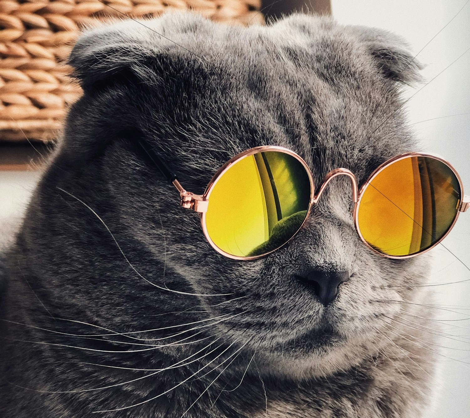 Go to Giattux's profile