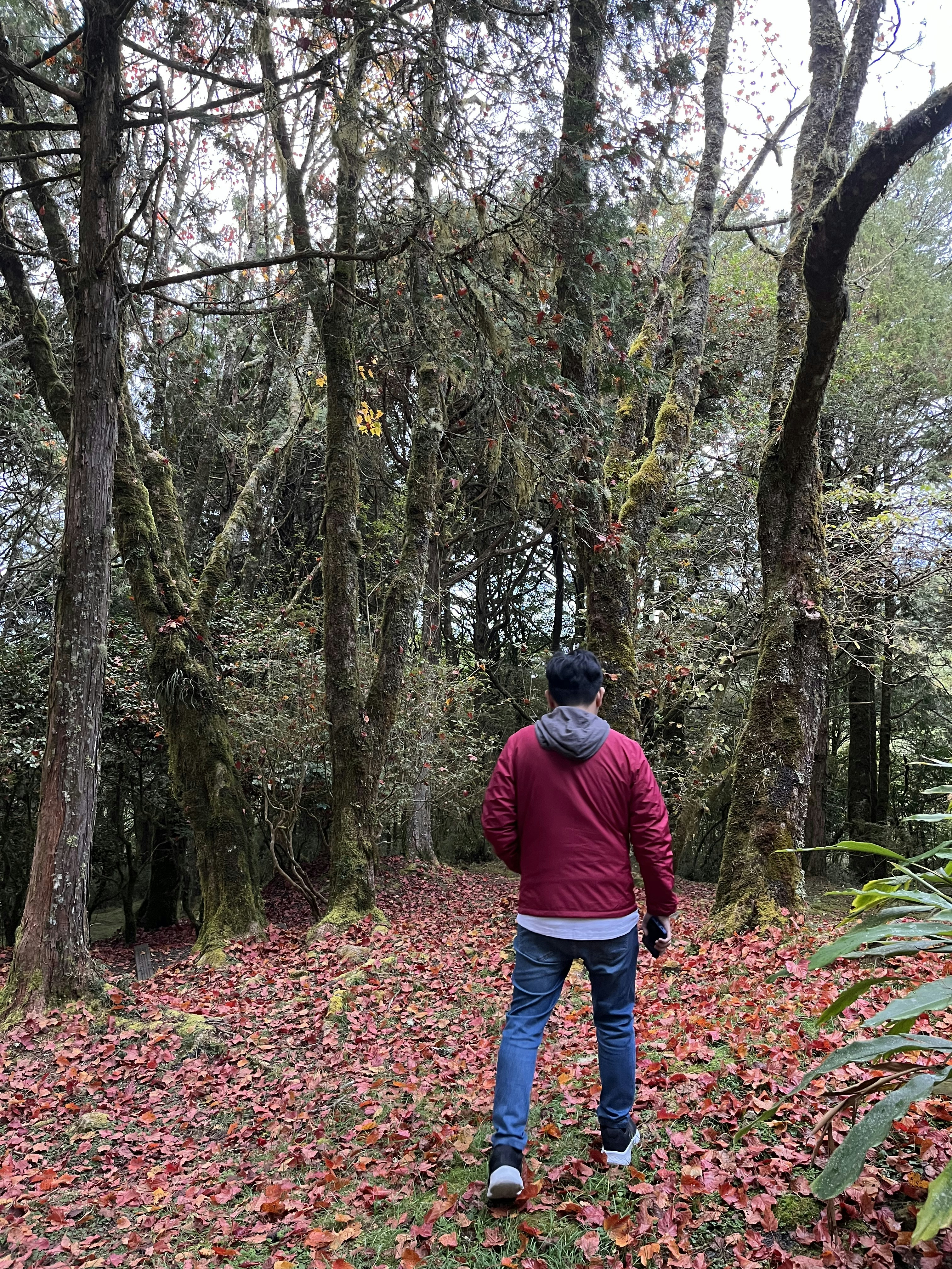 Go to Nonthat Towanabut's profile