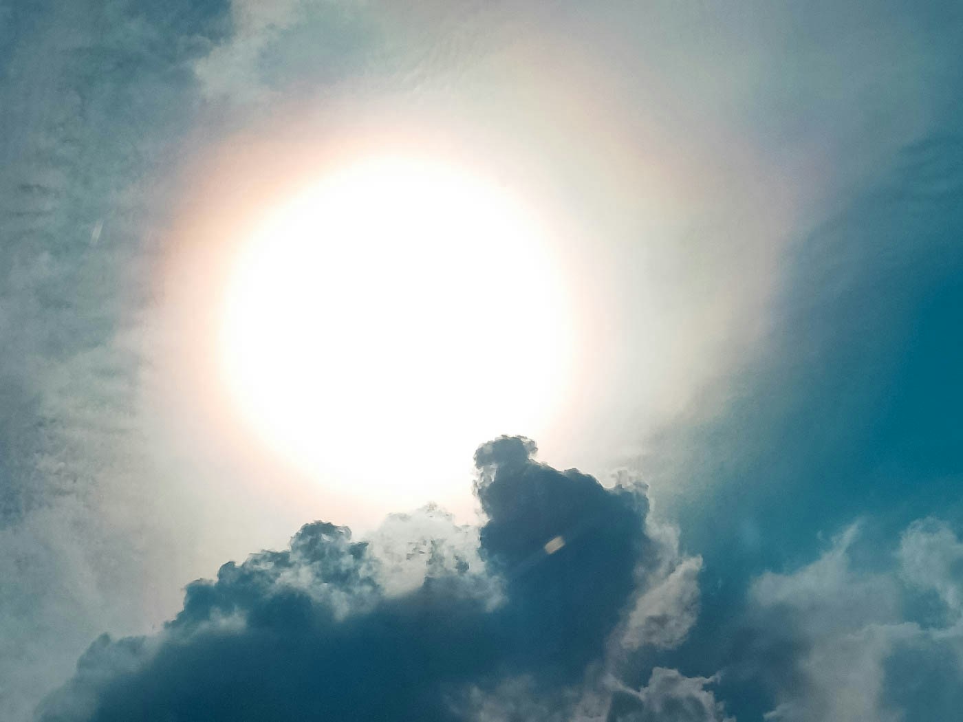 Accéder au profil de Michael Ahn