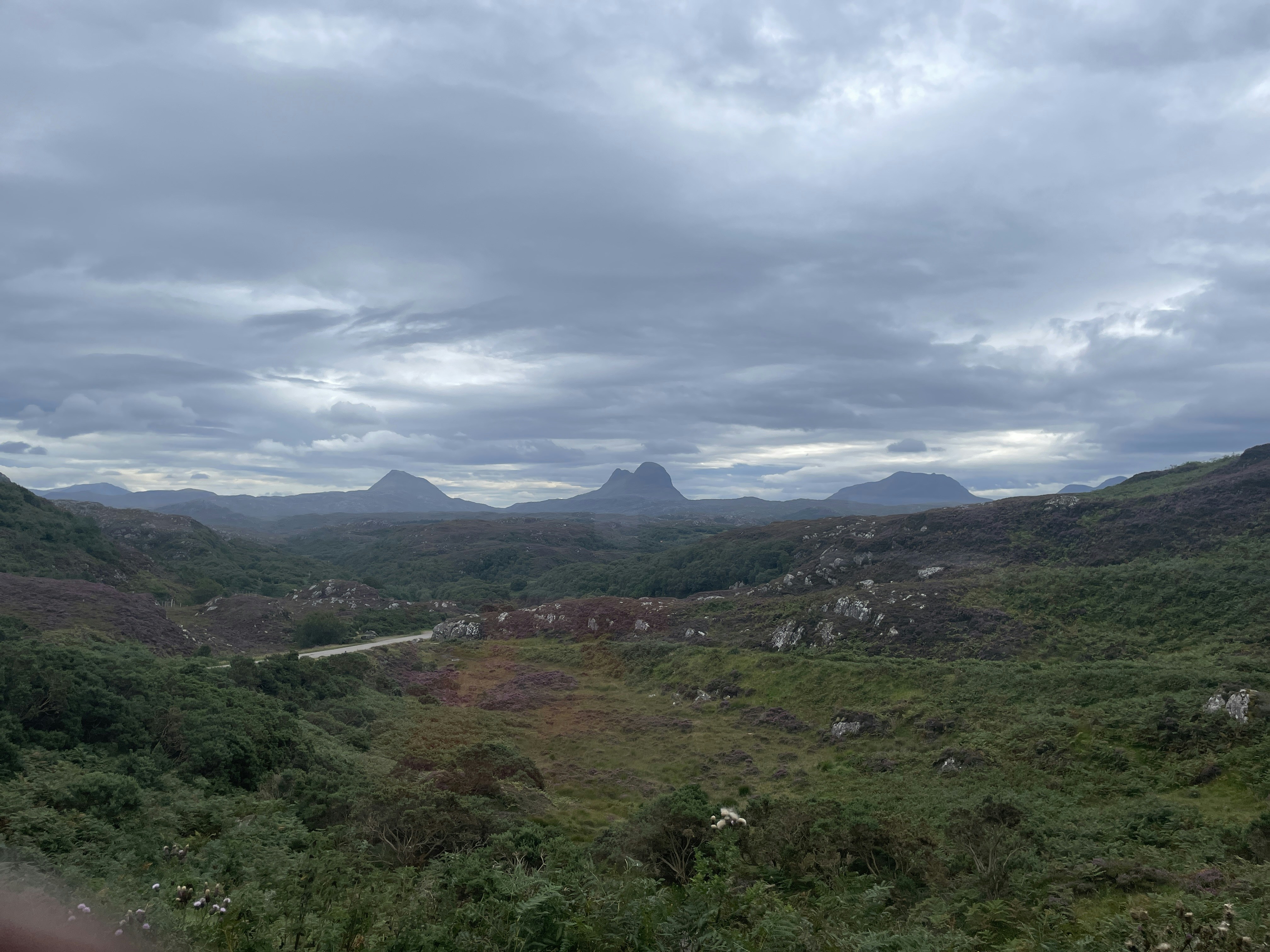 Avatar of user Zac Alford