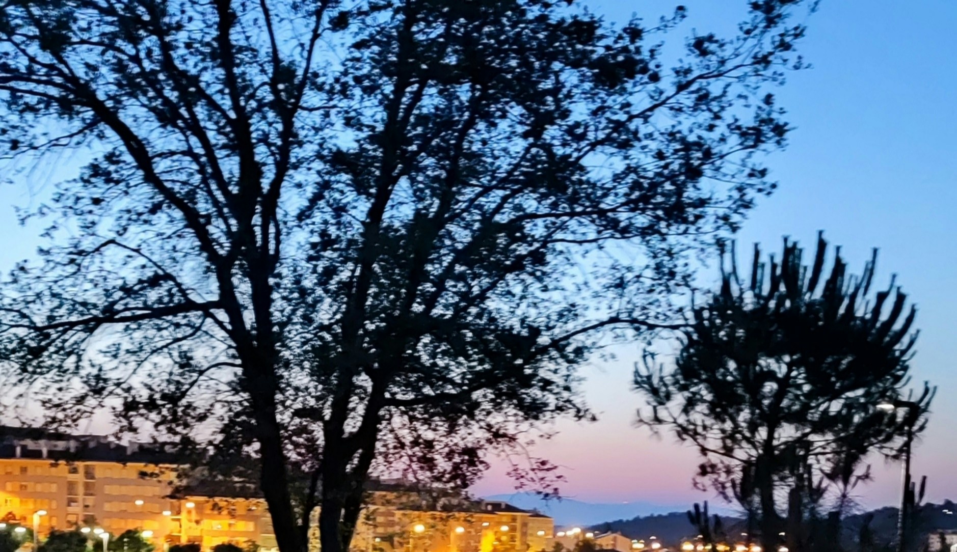 Go to Diogo Oliveira's profile