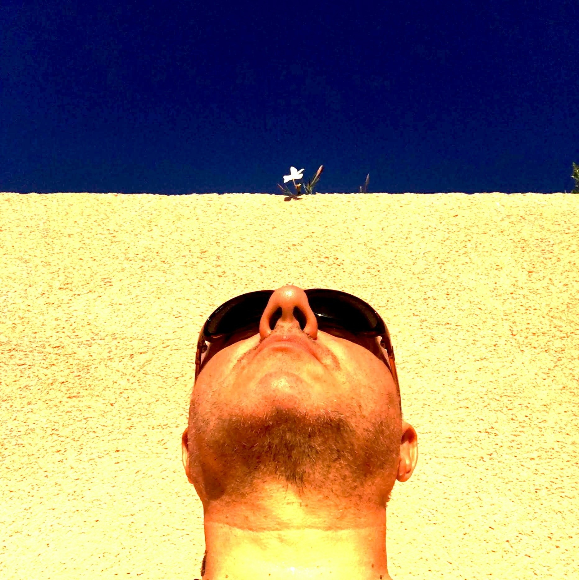 Ve al perfil de Serge Le Strat