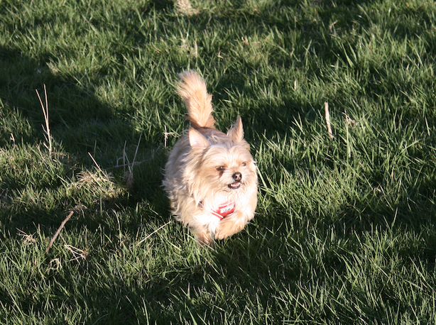 Go to Thea Harrison's profile