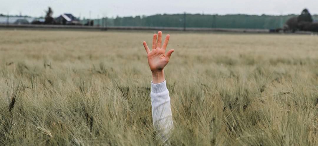 Go to Saqlain Haider's profile