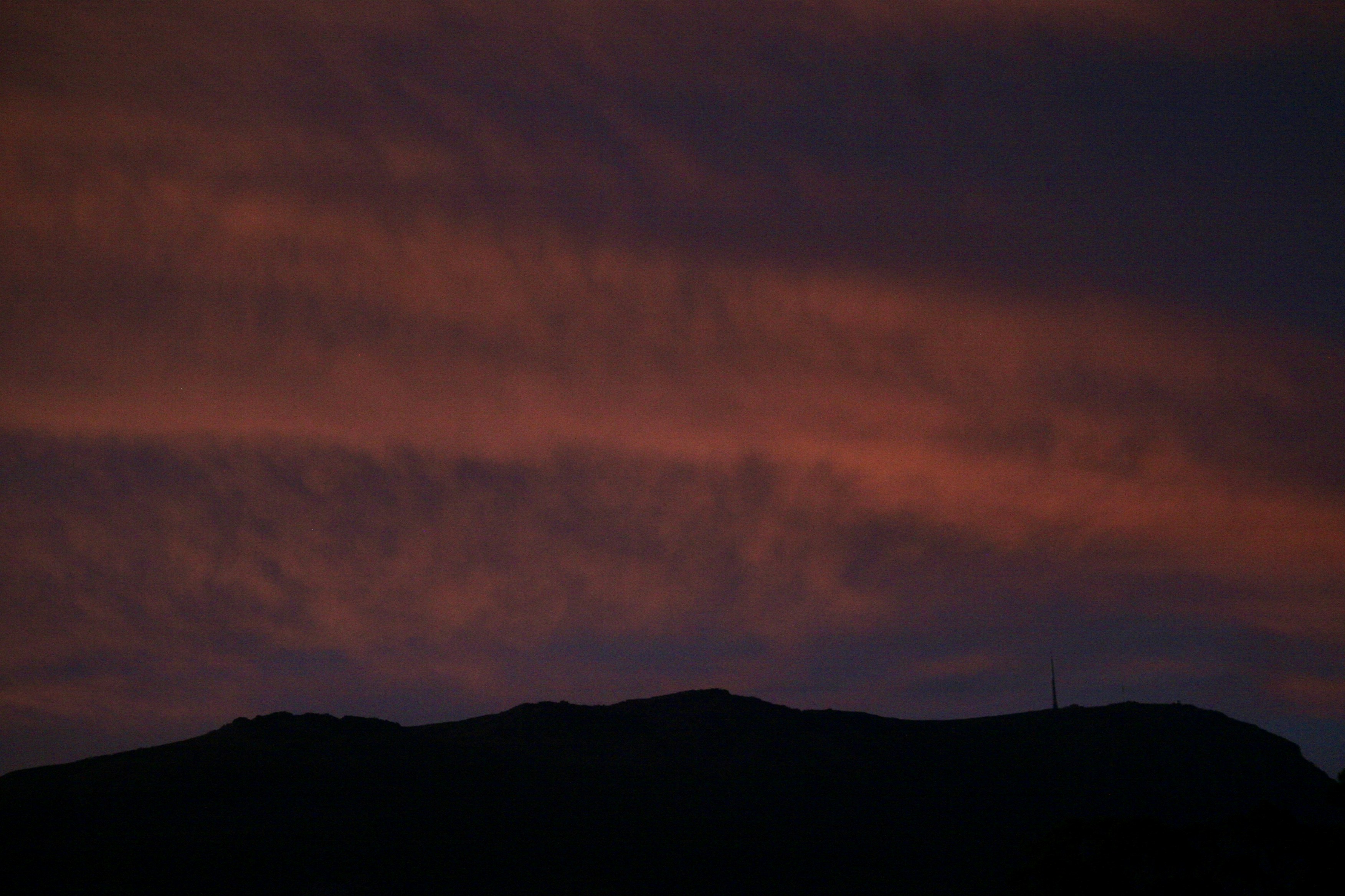 Zum Profil von Darcy Castle-roberts