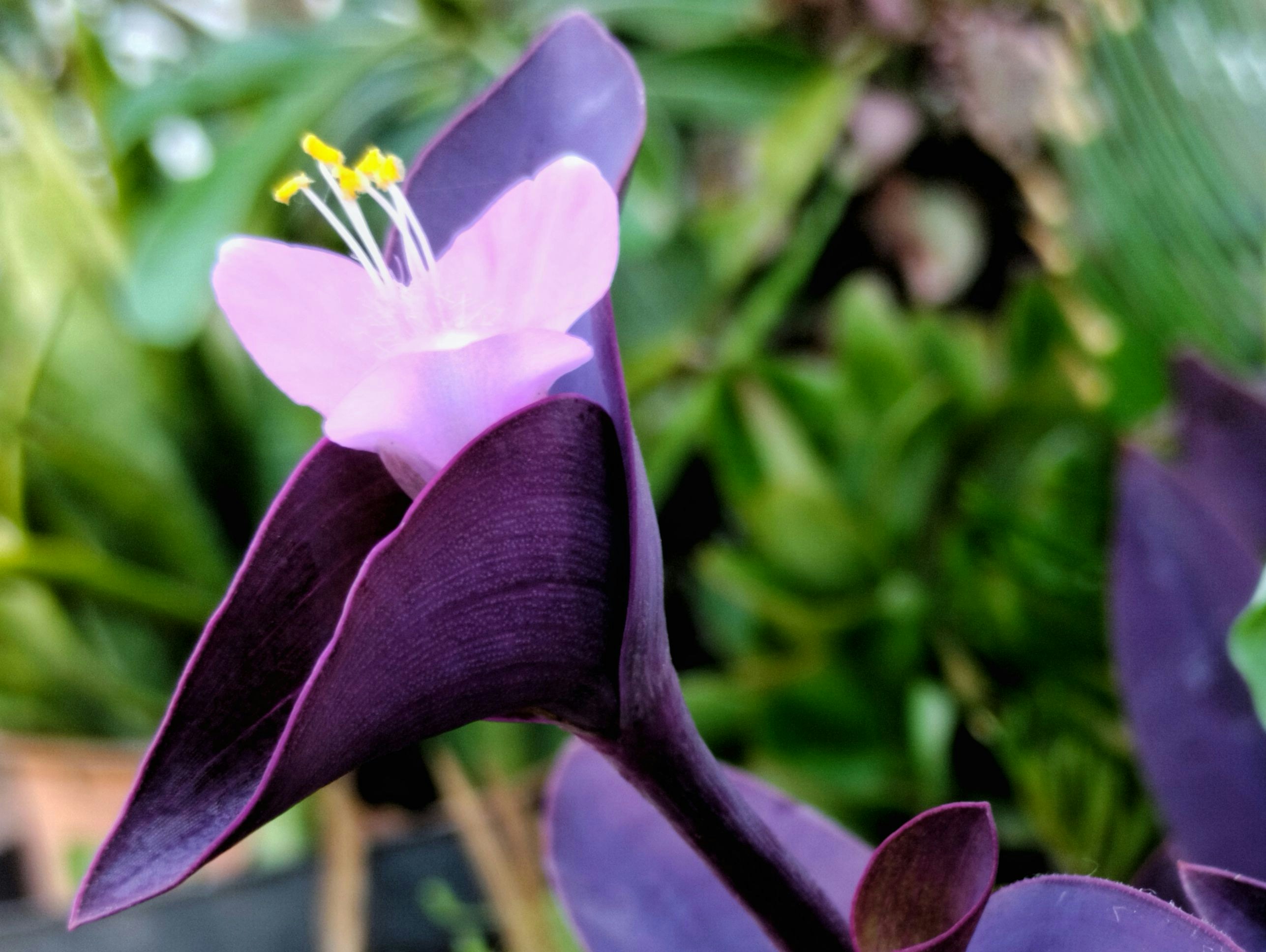 Ve al perfil de Alga Yoge Santosa