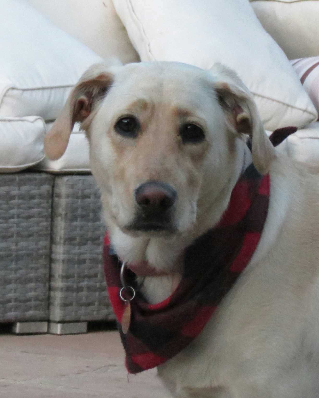 Accéder au profil de Matteo Bottorff