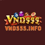 Avatar of user VND555 INFO