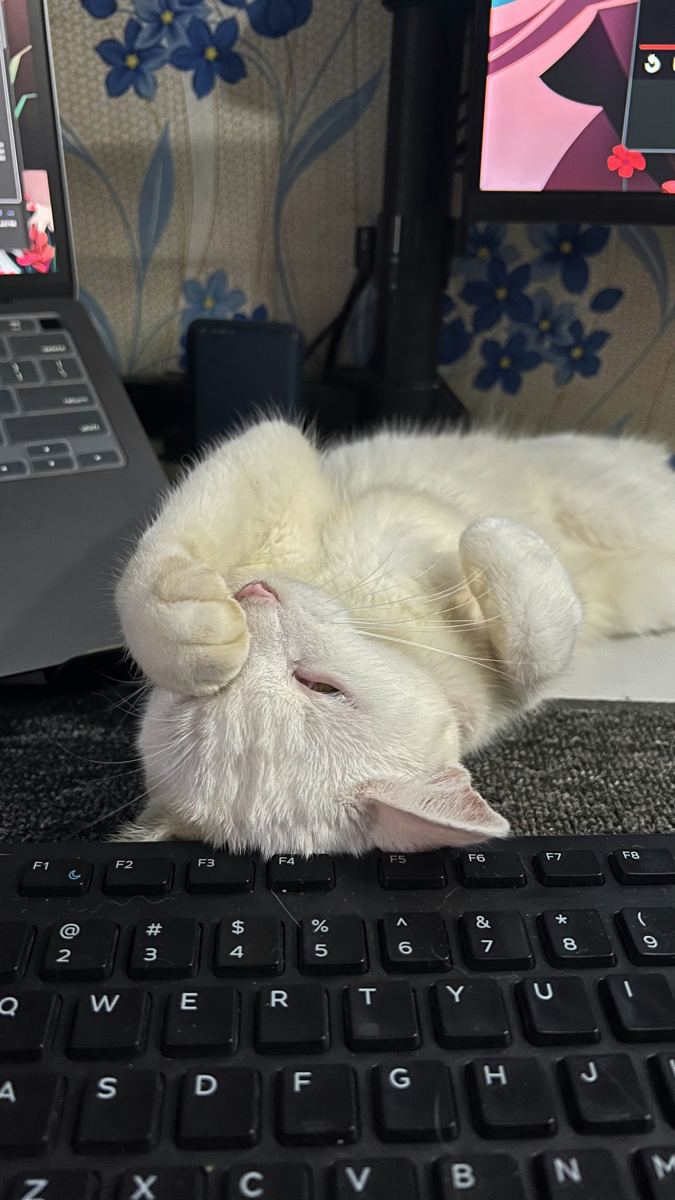 Rique Tagalogのプロフィールを見る