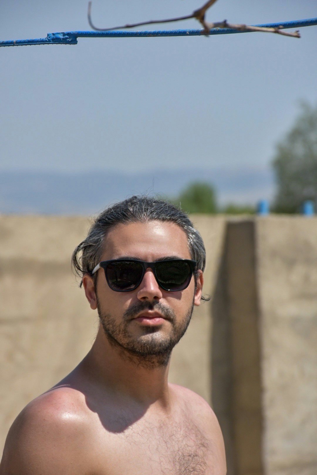 Ve al perfil de Poriya Zolghadr