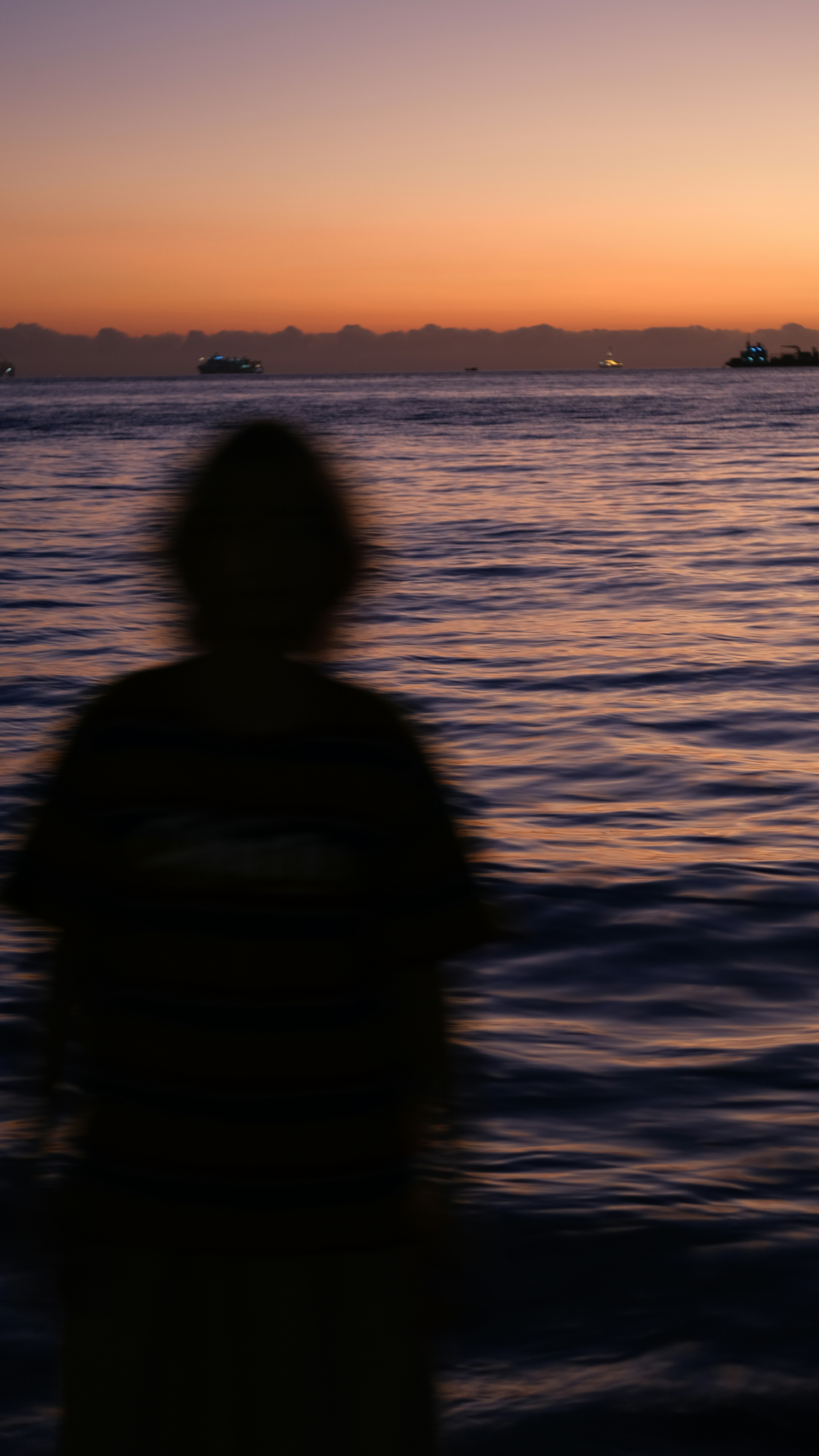 Avatar of user Wei Sishan