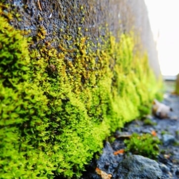 Go to Pisuke's profile