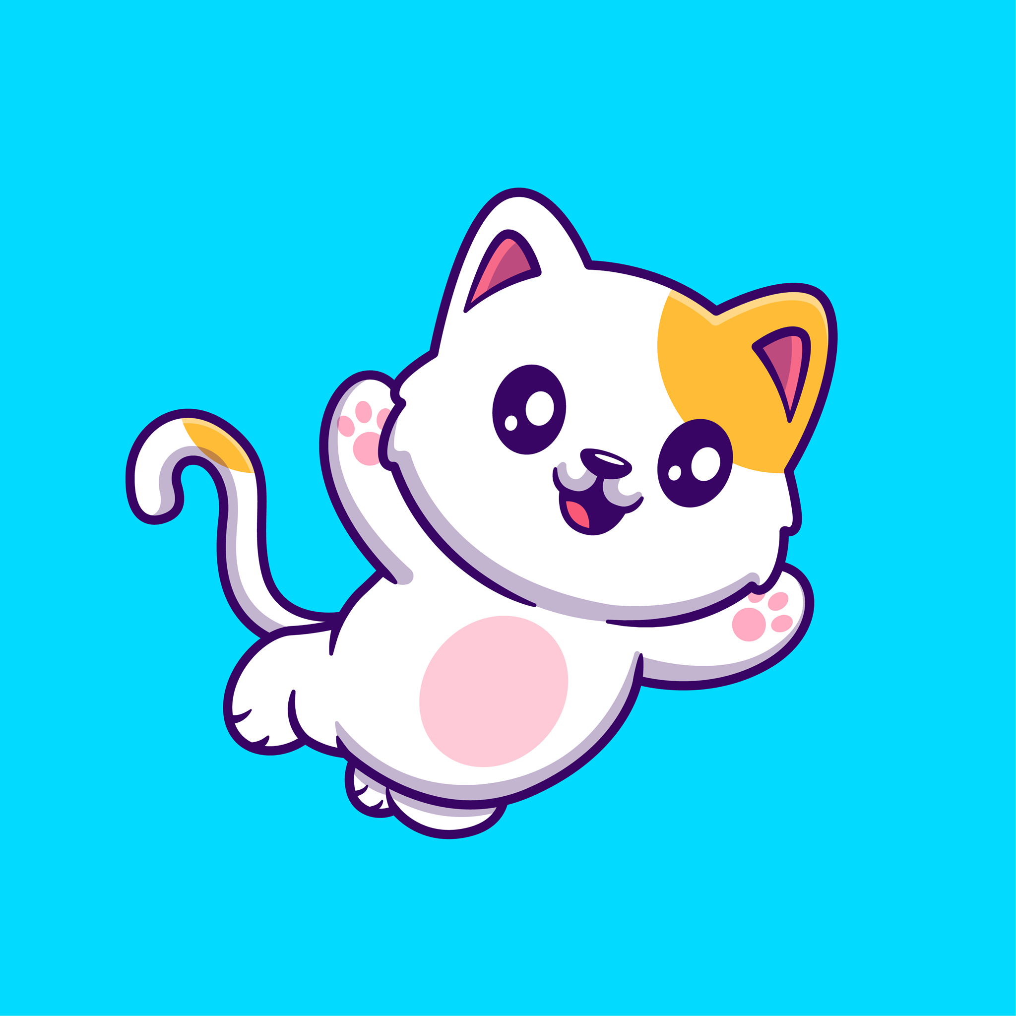 Avatar of user AHMAD HASAN