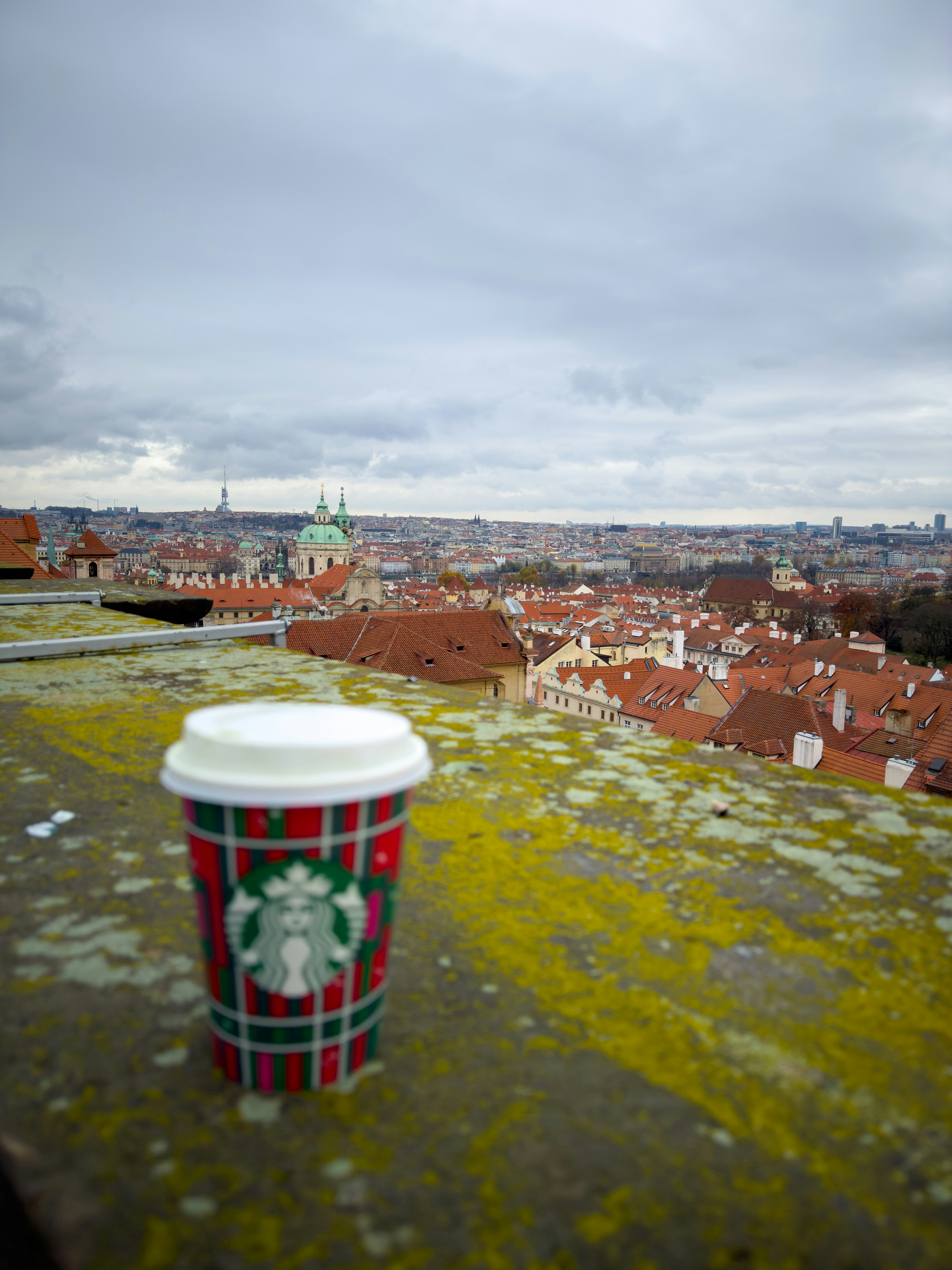 Go to manato kudo's profile