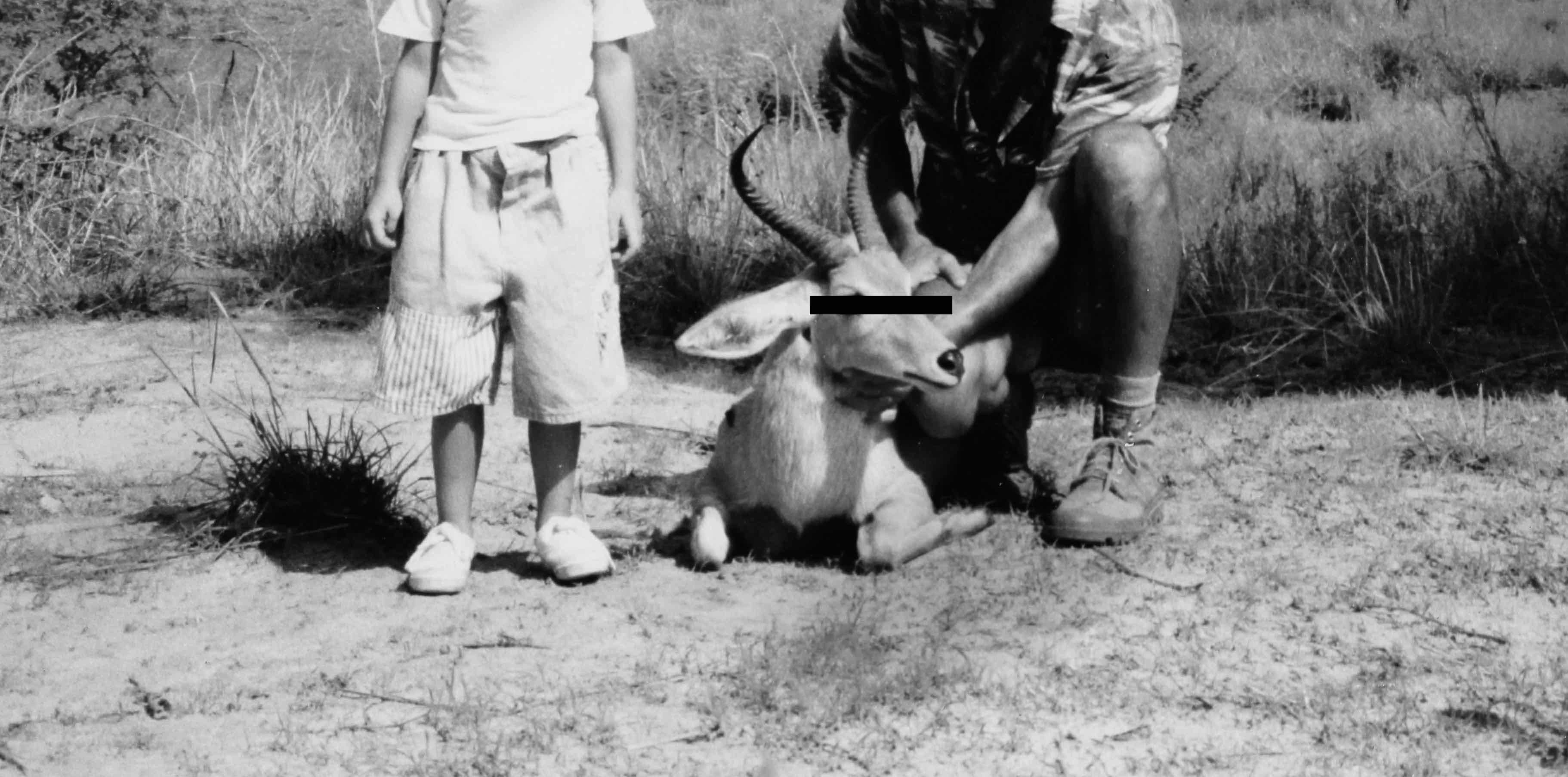 Go to cecile mousist's profile