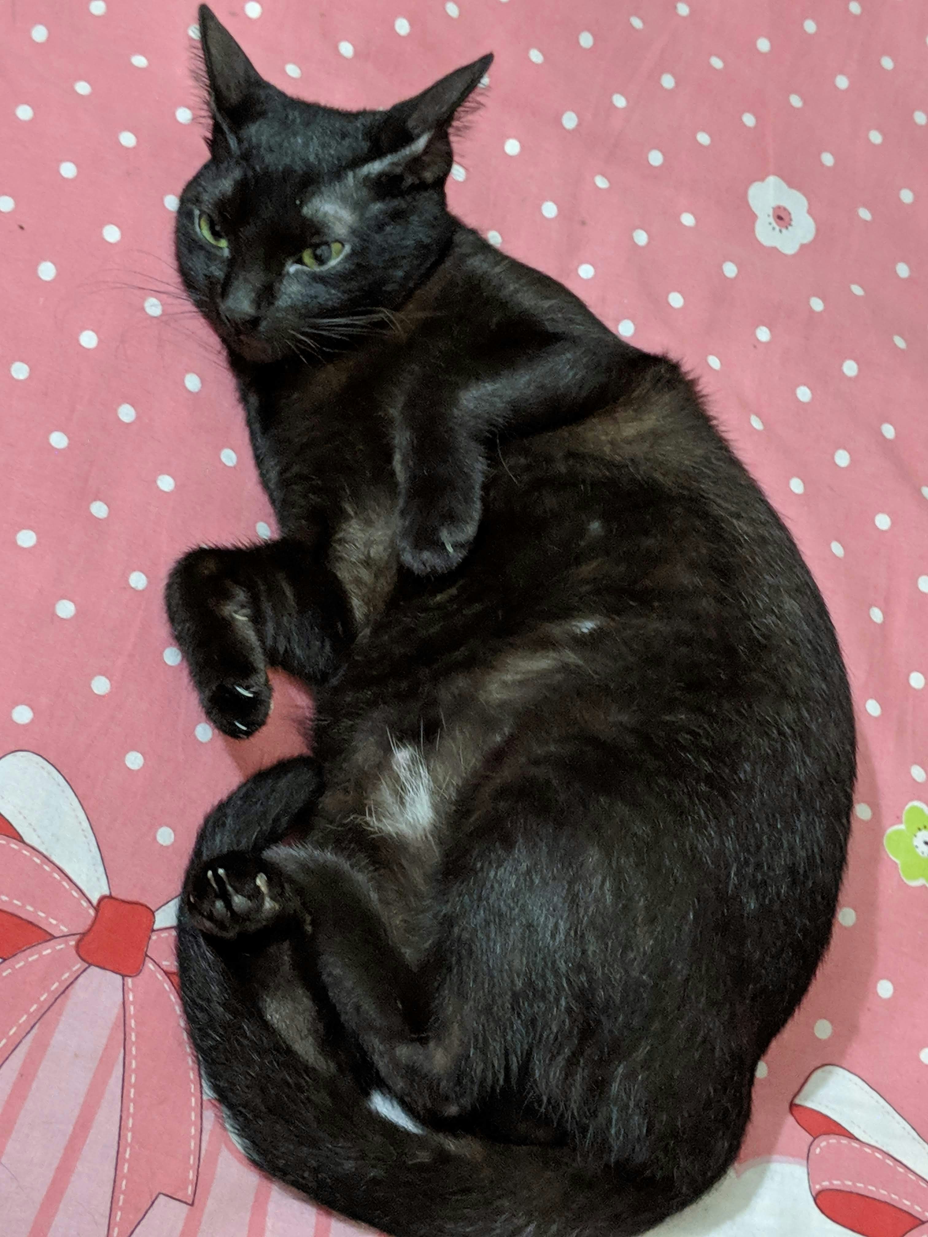 Go to Niloy Palit's profile