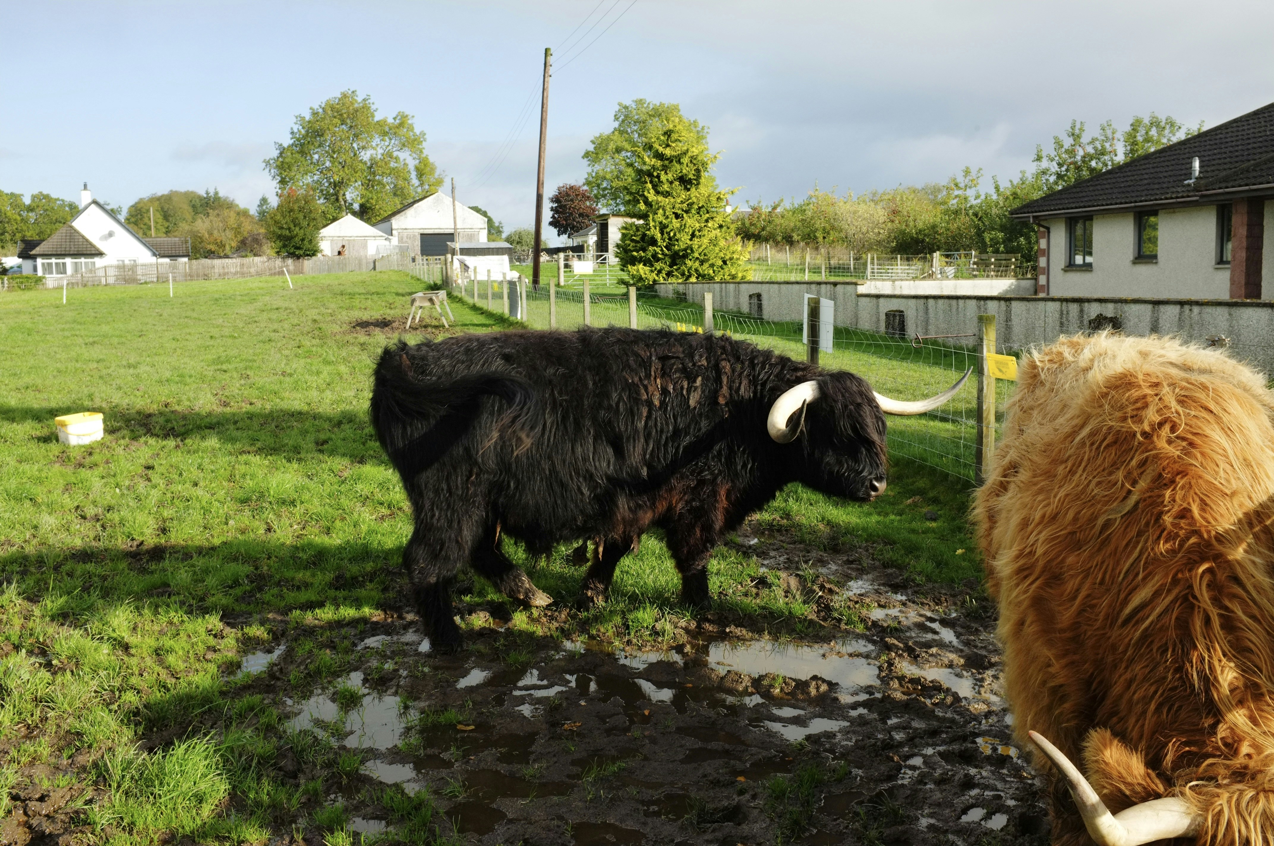 Vai al profilo di Hüseyin Bera Bulut