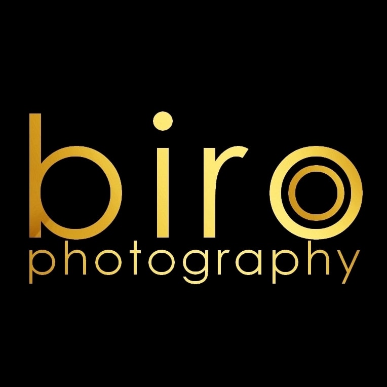 Go to Laszlo Biro's profile