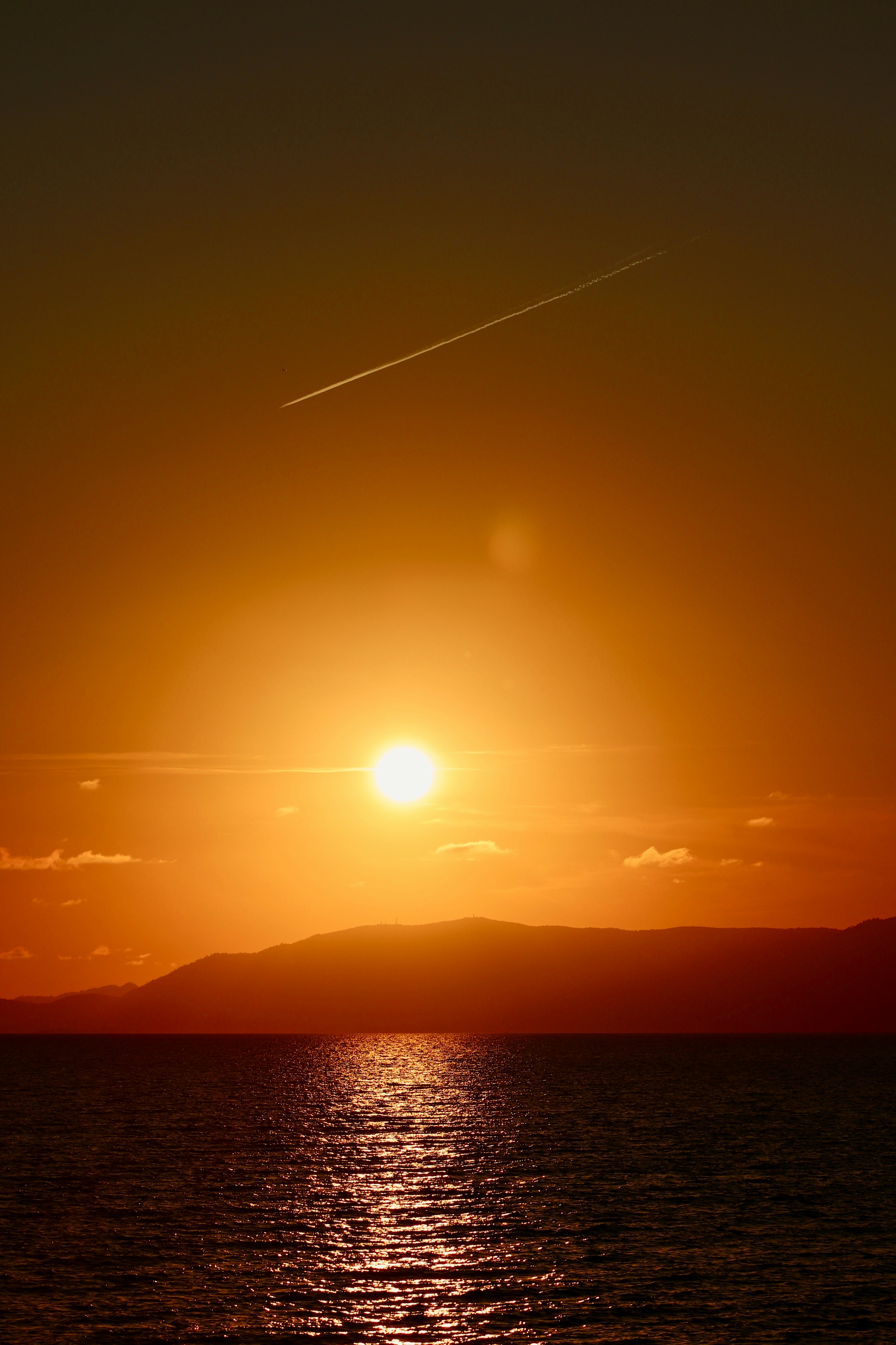 Go to Luna Gonçalves's profile